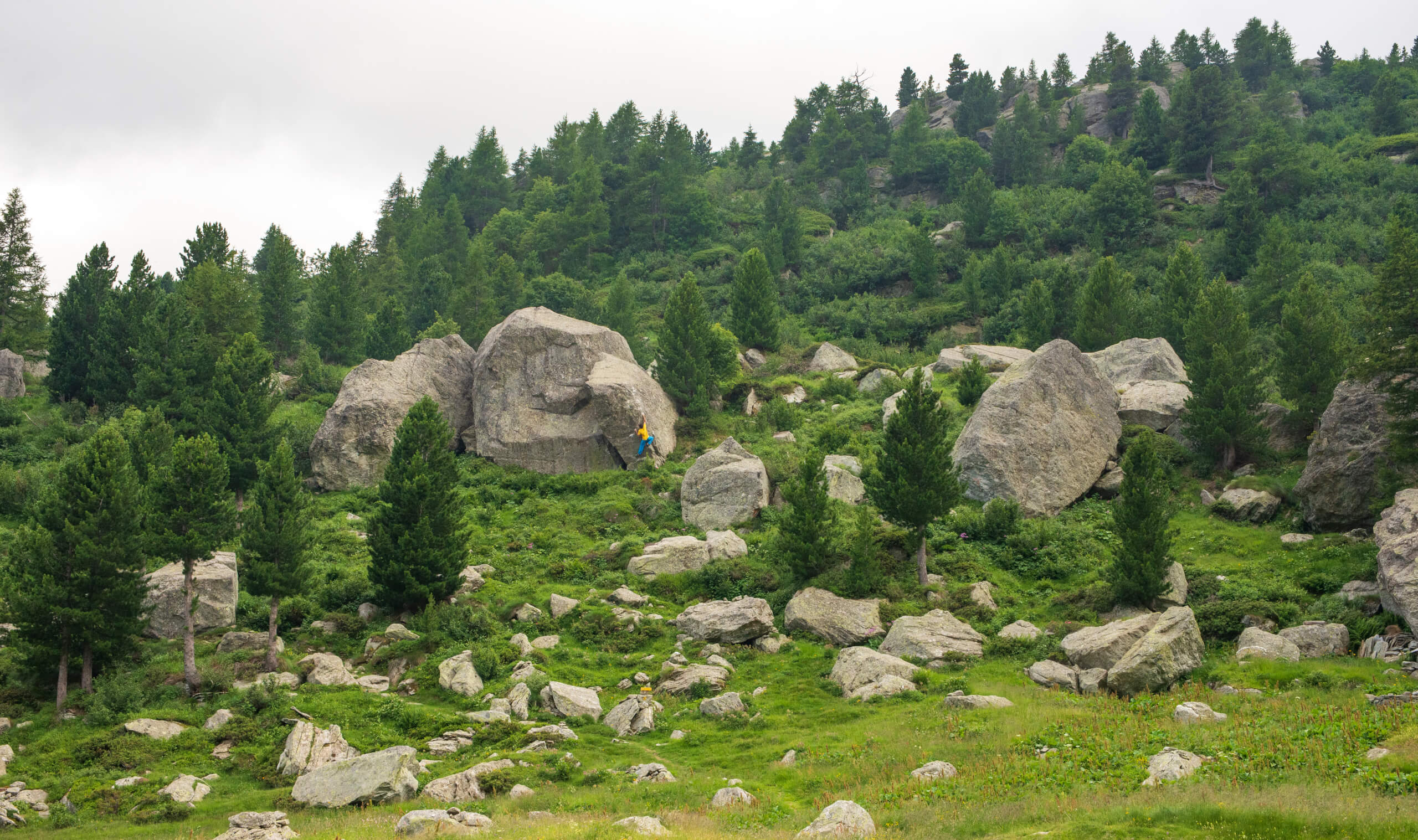 Niky Ceria no FA de Indice Obbligazionario - Valle d’Aosta (ITA)